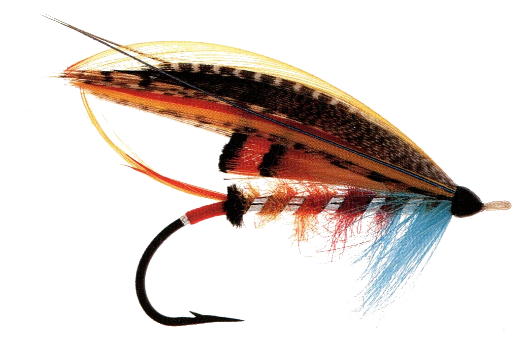 Ancien Livre De Pêche à La Mouche – Stoddard & Cie – Saumon, Truite, Bar – Vers 1900