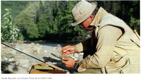 LE CHOIX DE LA MOUCHE