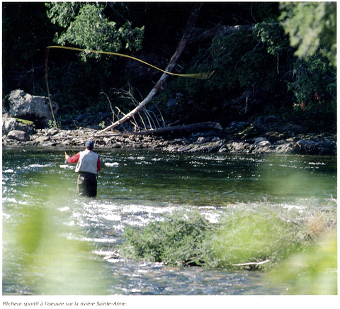 LA COULEUR de la mouche
