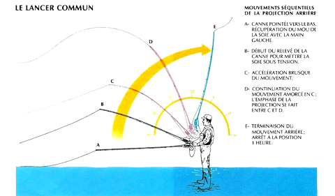 LA TENUE DE LA CANNE
