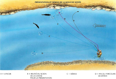 présentation de la mouche noyée