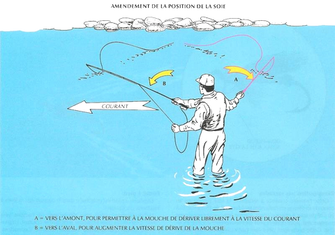 AMENDEMENT DE LA POSITION DE LA SOIE