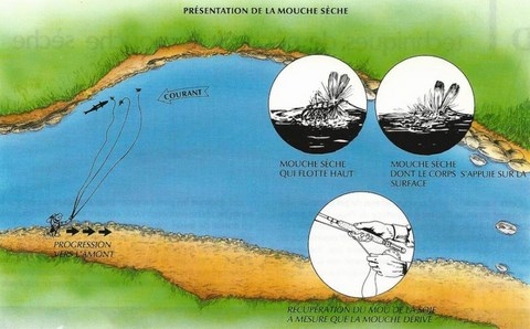 PRÉSENTATION DE LA MOUCHE SÈCHE