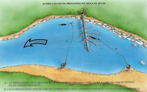 PRÉSENTATIONS SPÉCIALES