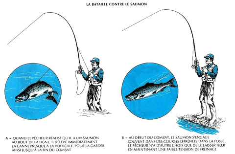 LES PREMIÈRES MINUTES...