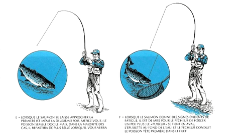 DÉROULEMENT DE LA BATAILLE