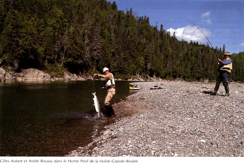 MANIÈRES DE SORTIR LE SAUMON DE L'EAU