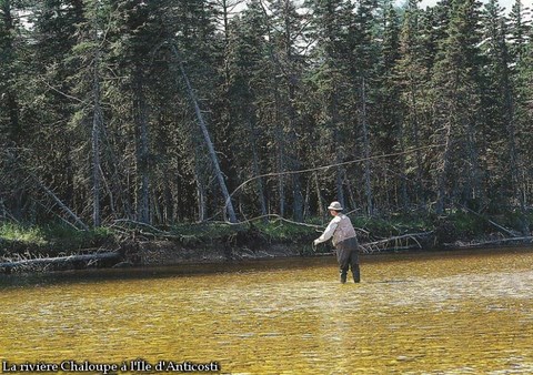 RIVIÈRES D'ANTICOSTI