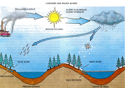 LES PRÉCIPITATIONS ACIDES