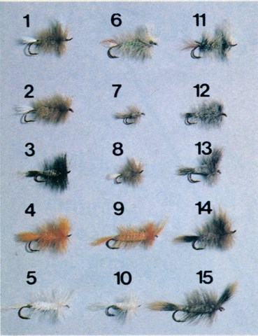 Minoune pour les Initiés