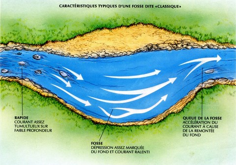 LA FOSSE DITE «CLASSIQUE»