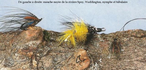 mouches noyées ont traditionnelles