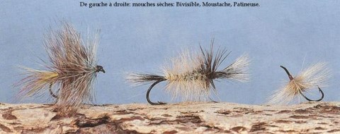 LA MOUCHE SÈCHE
