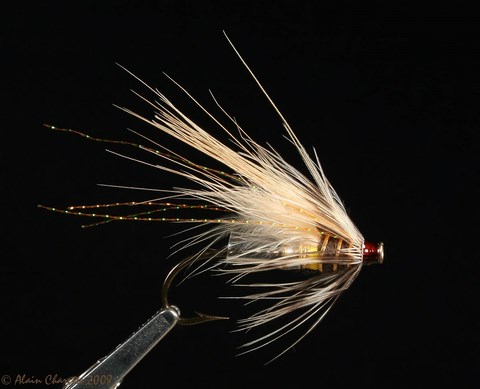 AC Dull Tube