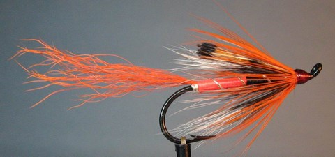 allys shrimp