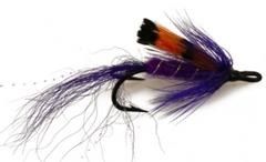 Ally's Shrimp Purple