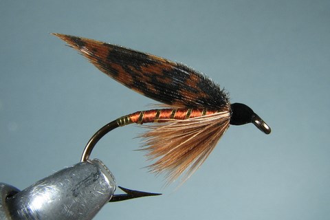 American March Brown