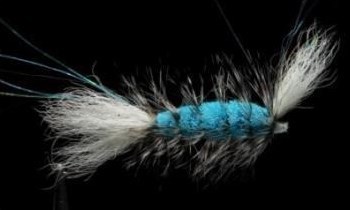 Aqua Grizzly; Création & Montage Jesper Fohrmann
