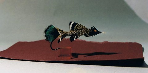 art 06