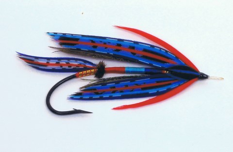 art 11