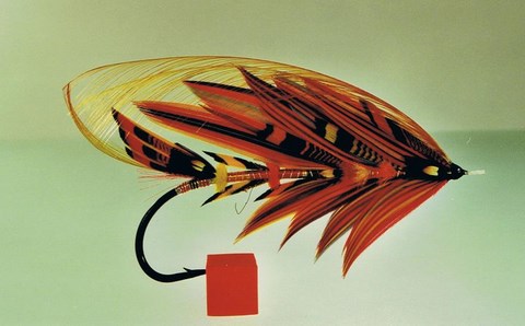 art 14