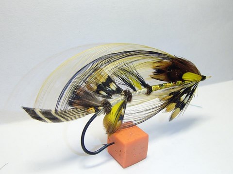 art 25