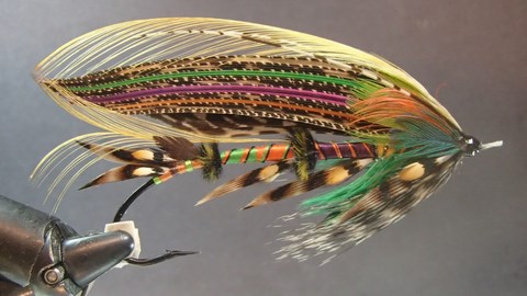 art 34