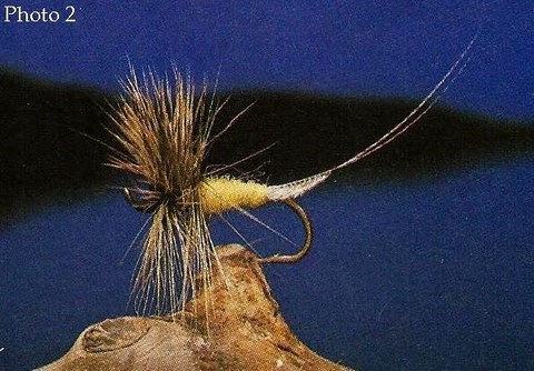 Artificielle à Corps Allongé