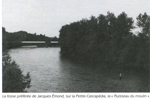 Bataille avec un Saumon avant le Coucher et Combat de Taureaux au Lever