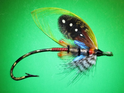 Bella Black Argus