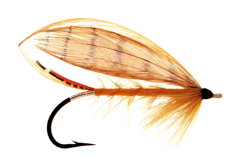 Bittern
