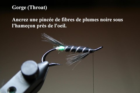 Black Bear Green Butt