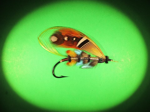 Black Red Eye