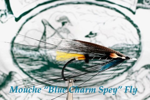 SPEY QC; BLUE CHARM SPEY