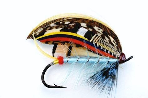 Blue Doctor, Mouches par Paul Bean