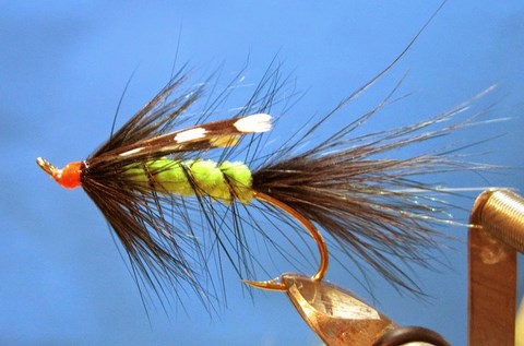 Chartreuse Repere Bugger