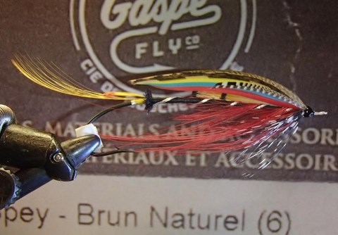 classic vs spey black doctor