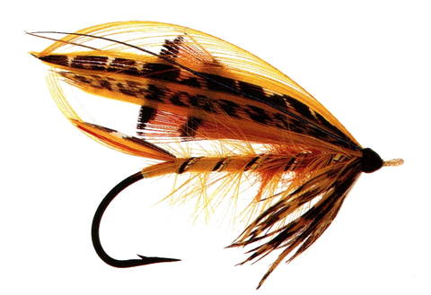 Colonel