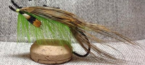 Crustacean Chartreuse Shrimp