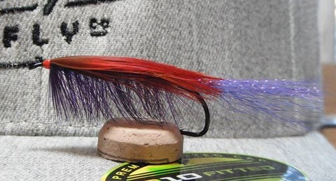 CRUSTACEAN PURPLE