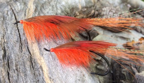 Crustacean shrimps