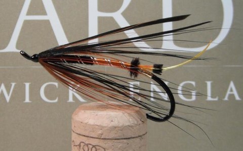 dee Spanish black turkey