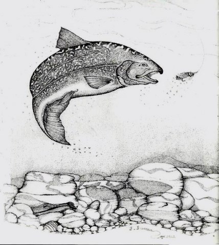 Dessins de poissons; Jacques Juneau