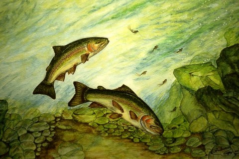 Dessins de poissons; Jacques Juneau