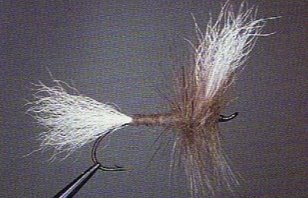 gray riffle