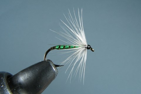 Green Midge