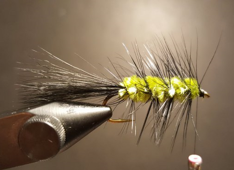 Histoire de la Mouche Wooly Bugger