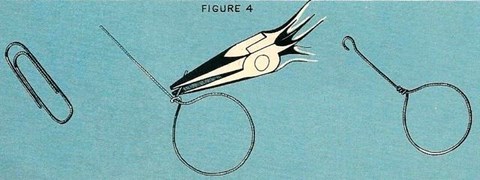 Une Éphémère plus Naturelles