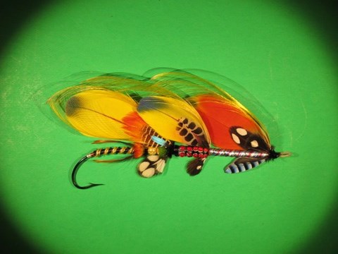 Iredale fly