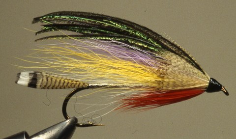 Les mouches de Jacques Juneau